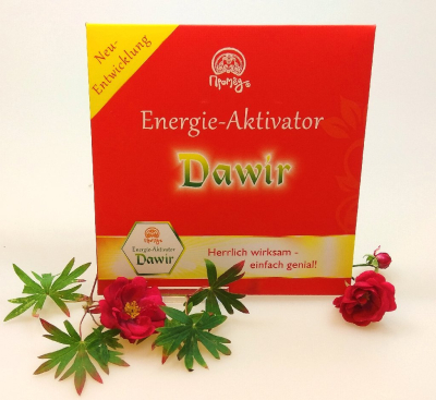 Energie-Aktivator DAWIR
